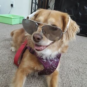 Meet your Posher, Rebecca